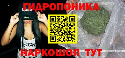 прущие крисы Анапа