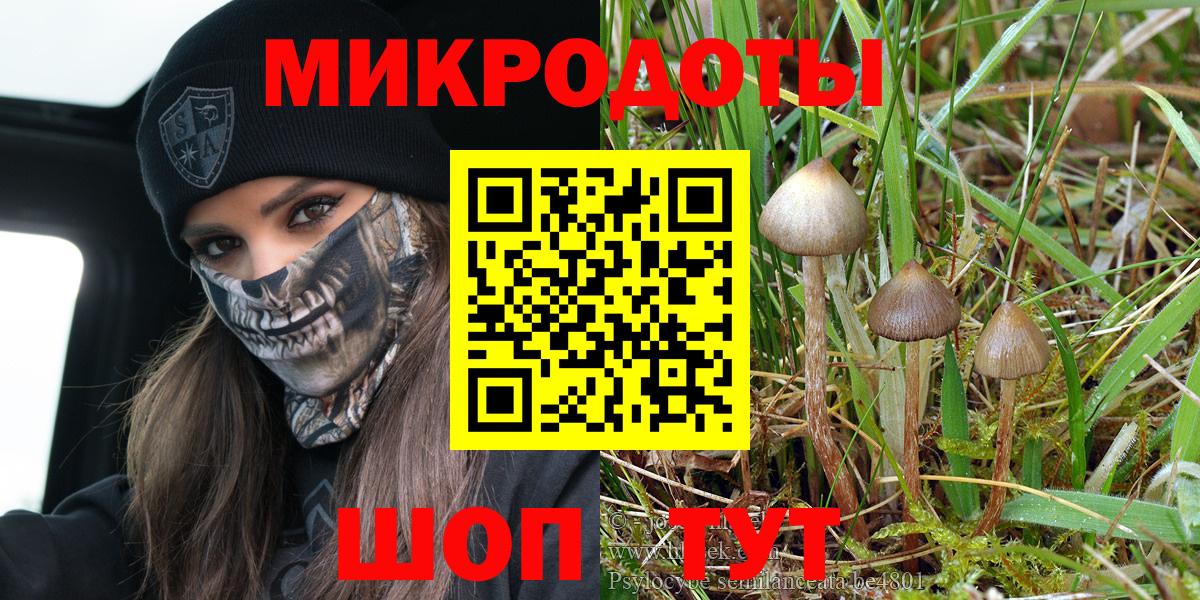 купить закладку  Вход с VPN  Галлюциногенные грибы мицелий  Добрянка  Псилоцибиновые грибы GOLDEN TEACHER 